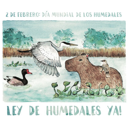 Poster to raise awareness about the wetlands law in Argentina. Watercolour. 
