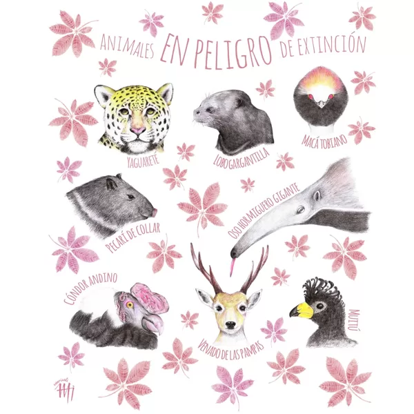 Animales en peligro de extinción de Argentina. Lápices de colores y digital. 