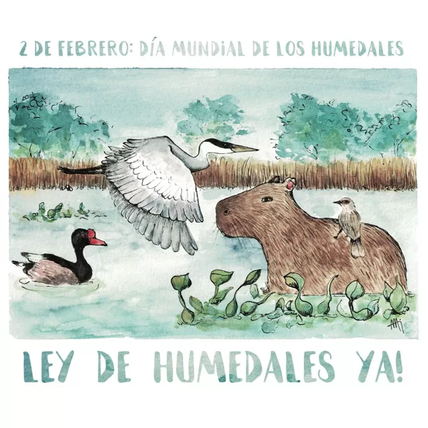 Lámina para la concientización sobre ley de humedales en Argentina. Acuarela. 