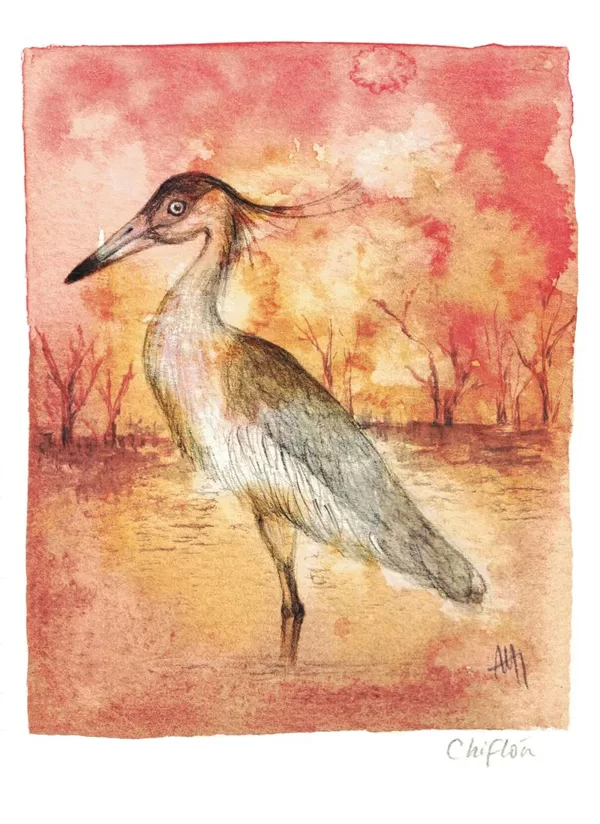 Whistling heron - Syrigma sibilatrix