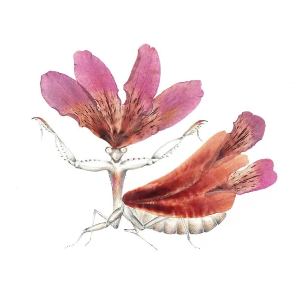 The trees were drunk on flowers. A stark southern wind scattered petals all around...